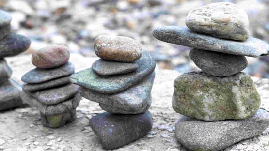 Workshop Trainings Workshop Trainings